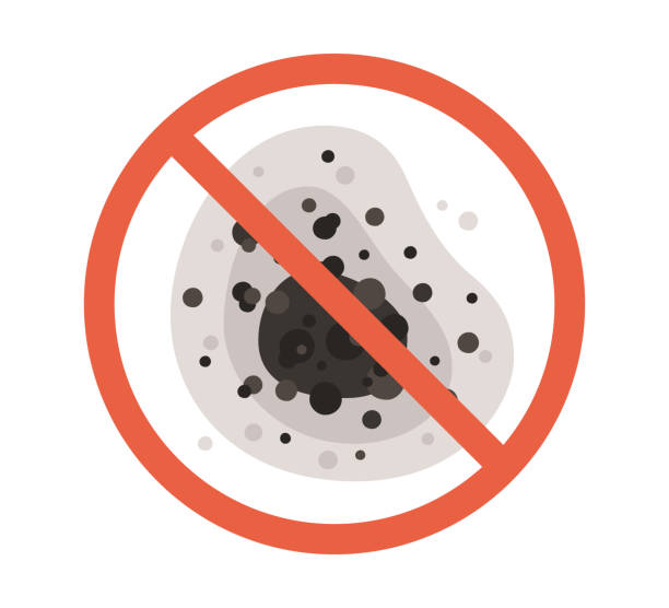 Best Mold Prevention Services  in Grant, MI