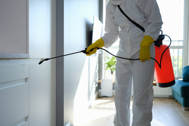 Best Emergency Mold Remediation  in Grant, MI