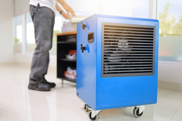 Best Residential Mold Inspection & Testing  in Grant, MI