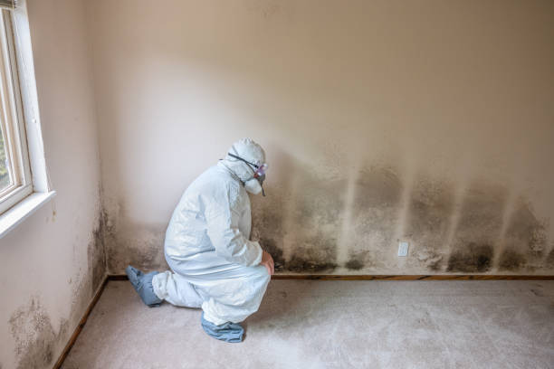 Best Forensic Mold Investigation  in Grant, MI